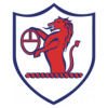 https://img.wdlkt.com/img/football/team/11fb72f7b5eacfc881ee11bac75871fa.png